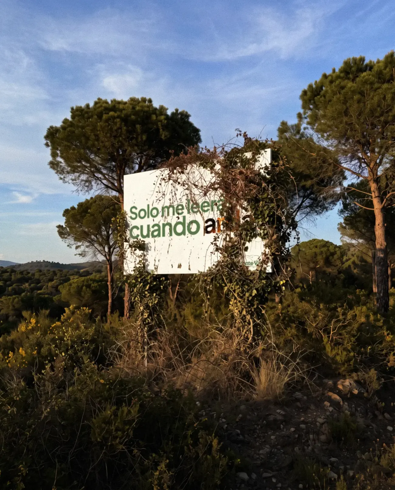 La valla tapada por el matorral seco