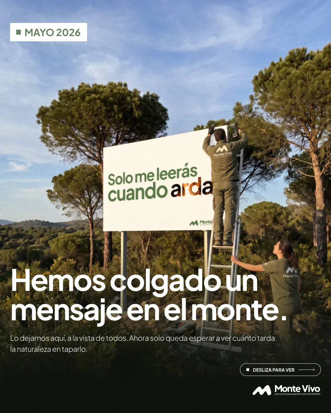 Post 1 · Mayo 2026