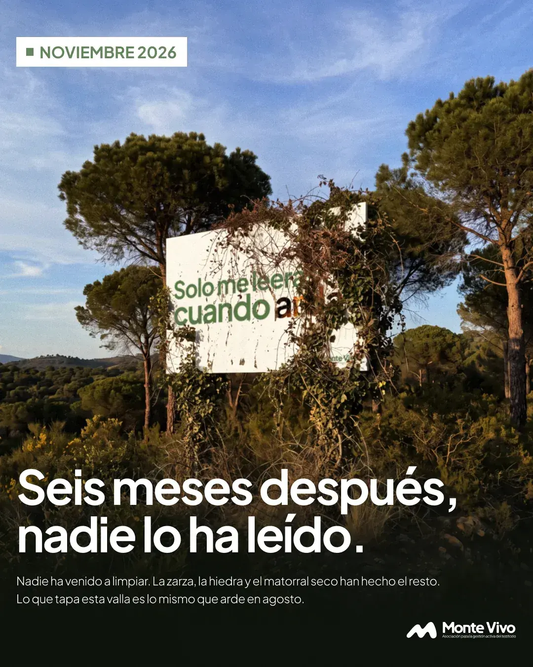 Post 2 · Noviembre 2026