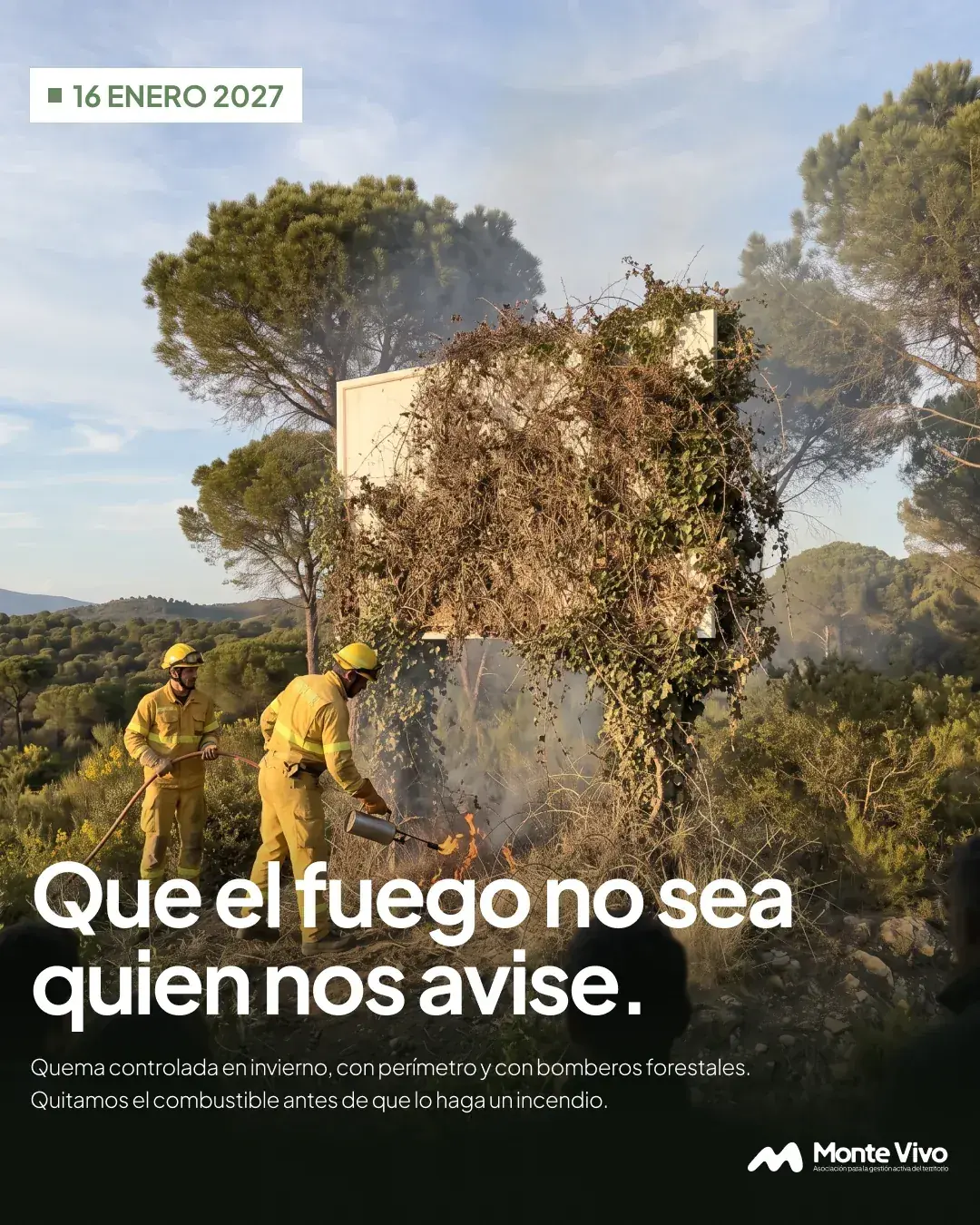 Post 4 · 16 enero 2027