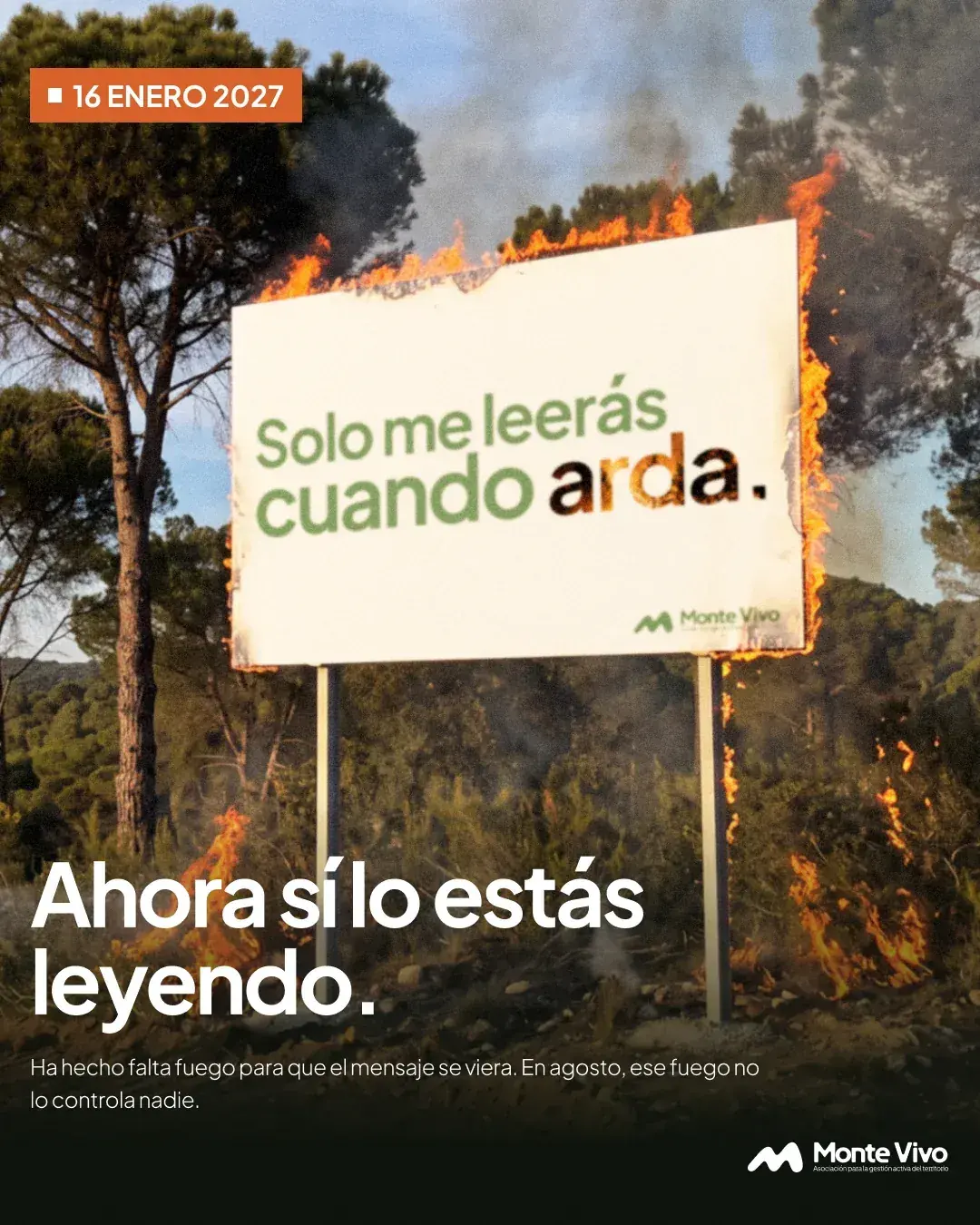 Post 5 · 16 enero 2027