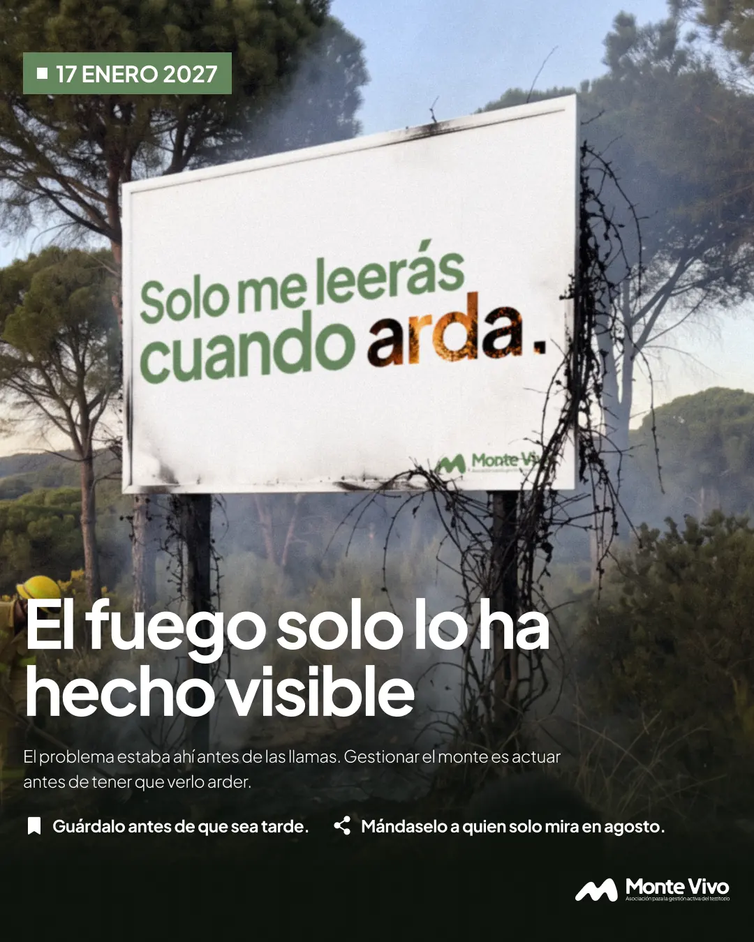 Post 6 · 17 enero 2027